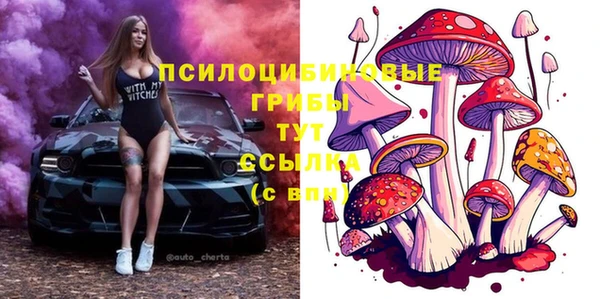 mdpv Богородицк