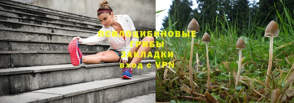 метамфетамин Богданович