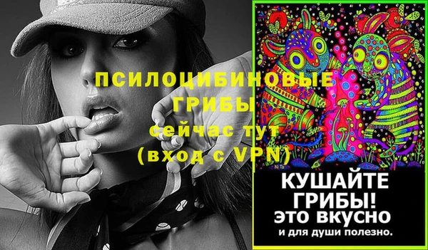 mdpv Богородицк