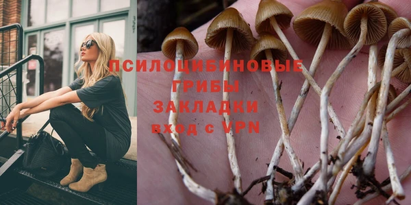 прущие грибы Богородск