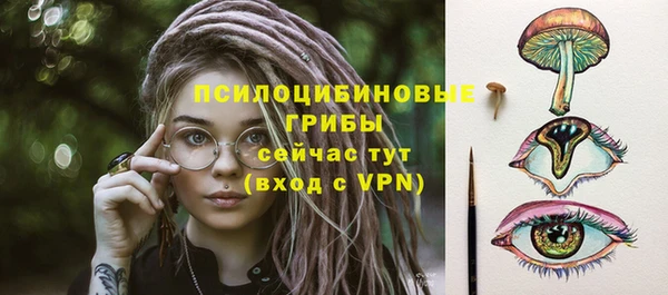 прущие грибы Богородск