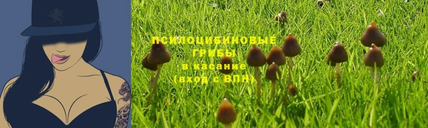 прущие грибы Богородск